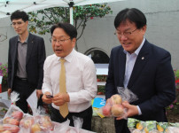 강시장 사과 판매 이현호 본부장과 함게 굿.JPG